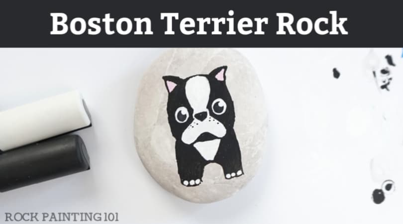 How to paint a Boston Terrier onto a rock